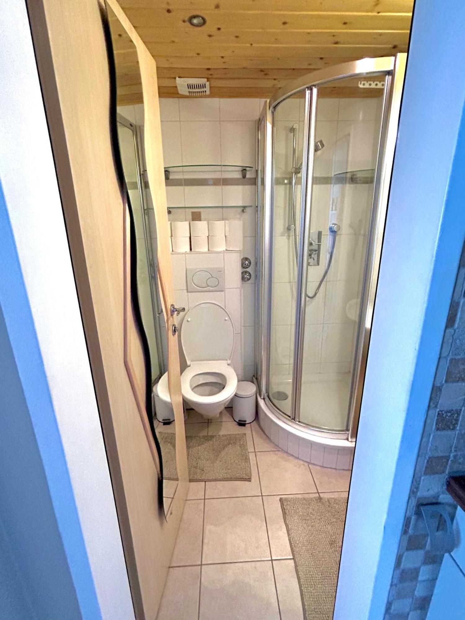 Alpine Apartment Schladming Mit Sauna Und Pool Екстериор снимка